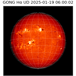 gong - 2025-01-19T06:00:02