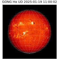 gong - 2025-01-19T11:00:02