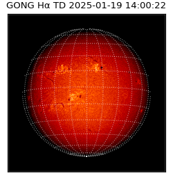 gong - 2025-01-19T14:00:22
