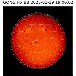 gong - 2025-01-19T19:00:02