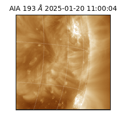 saia - 2025-01-20T11:00:04.843000