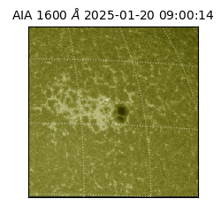 saia - 2025-01-20T09:00:14.117000