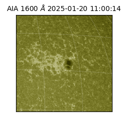 saia - 2025-01-20T11:00:14.126000