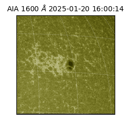 saia - 2025-01-20T16:00:14.126000