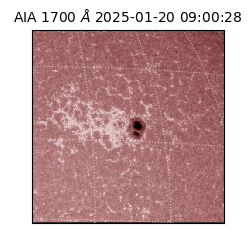 saia - 2025-01-20T09:00:28.709000