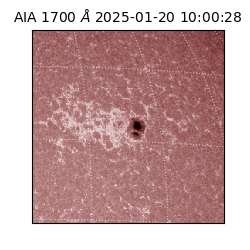 saia - 2025-01-20T10:00:28.718000