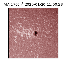 saia - 2025-01-20T11:00:28.718000