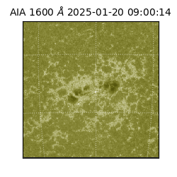 saia - 2025-01-20T09:00:14.117000