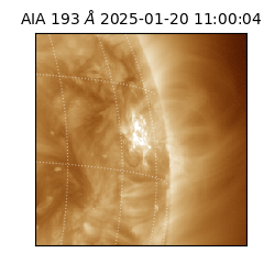 saia - 2025-01-20T11:00:04.843000