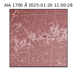 saia - 2025-01-20T11:00:28.718000