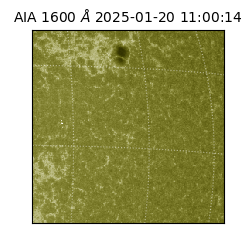 saia - 2025-01-20T11:00:14.126000