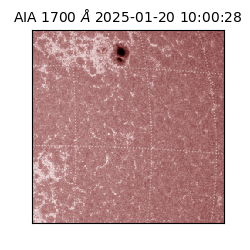 saia - 2025-01-20T10:00:28.718000