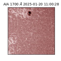 saia - 2025-01-20T11:00:28.718000