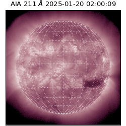 saia - 2025-01-20T02:00:09.630000