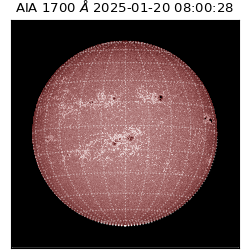 saia - 2025-01-20T08:00:28.721000
