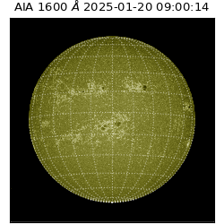 saia - 2025-01-20T09:00:14.117000