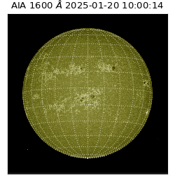 saia - 2025-01-20T10:00:14.137000