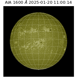 saia - 2025-01-20T11:00:14.126000