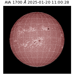 saia - 2025-01-20T11:00:28.718000