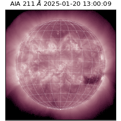 saia - 2025-01-20T13:00:09.626000