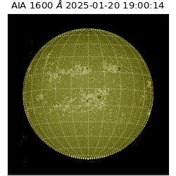 saia - 2025-01-20T19:00:14.138000