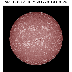 saia - 2025-01-20T19:00:28.734000