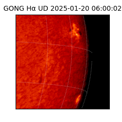 gong - 2025-01-20T06:00:02