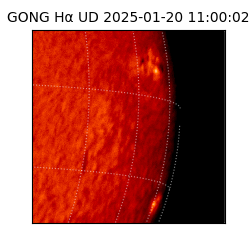 gong - 2025-01-20T11:00:02