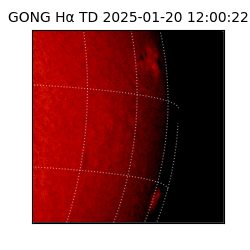 gong - 2025-01-20T12:00:22