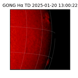 gong - 2025-01-20T13:00:22