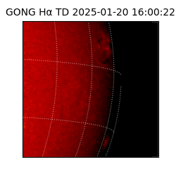 gong - 2025-01-20T16:00:22
