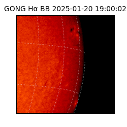 gong - 2025-01-20T19:00:02