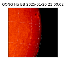 gong - 2025-01-20T21:00:02