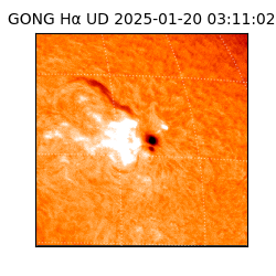 gong - 2025-01-20T03:11:02