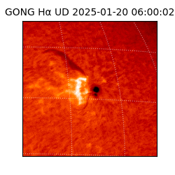 gong - 2025-01-20T06:00:02