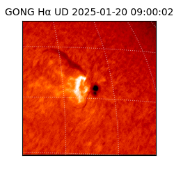 gong - 2025-01-20T09:00:02