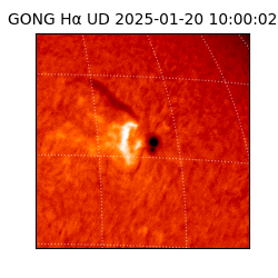 gong - 2025-01-20T10:00:02