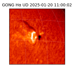 gong - 2025-01-20T11:00:02