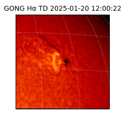 gong - 2025-01-20T12:00:22