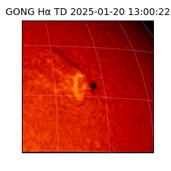 gong - 2025-01-20T13:00:22