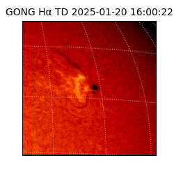 gong - 2025-01-20T16:00:22