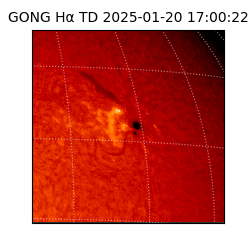 gong - 2025-01-20T17:00:22