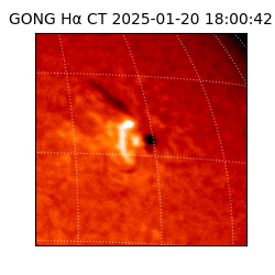 gong - 2025-01-20T18:00:42