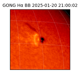 gong - 2025-01-20T21:00:02