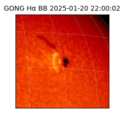 gong - 2025-01-20T22:00:02