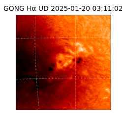 gong - 2025-01-20T03:11:02