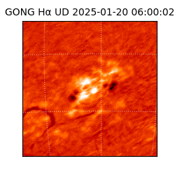 gong - 2025-01-20T06:00:02