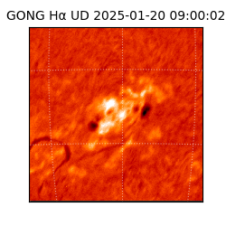 gong - 2025-01-20T09:00:02