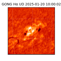 gong - 2025-01-20T10:00:02