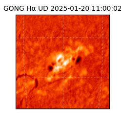 gong - 2025-01-20T11:00:02